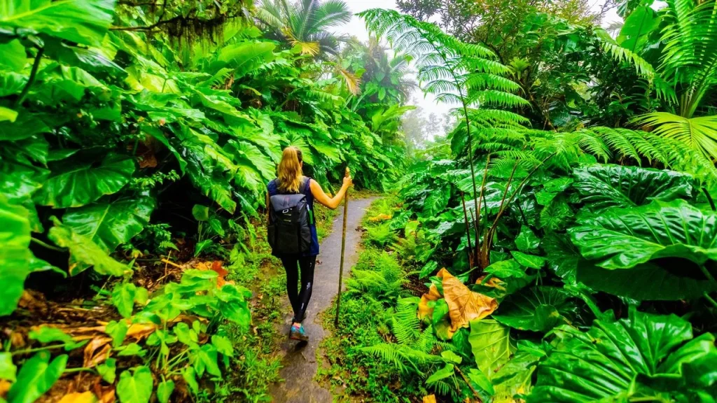 Sustainable Travel Destinations That Are Changing the Way We Explore